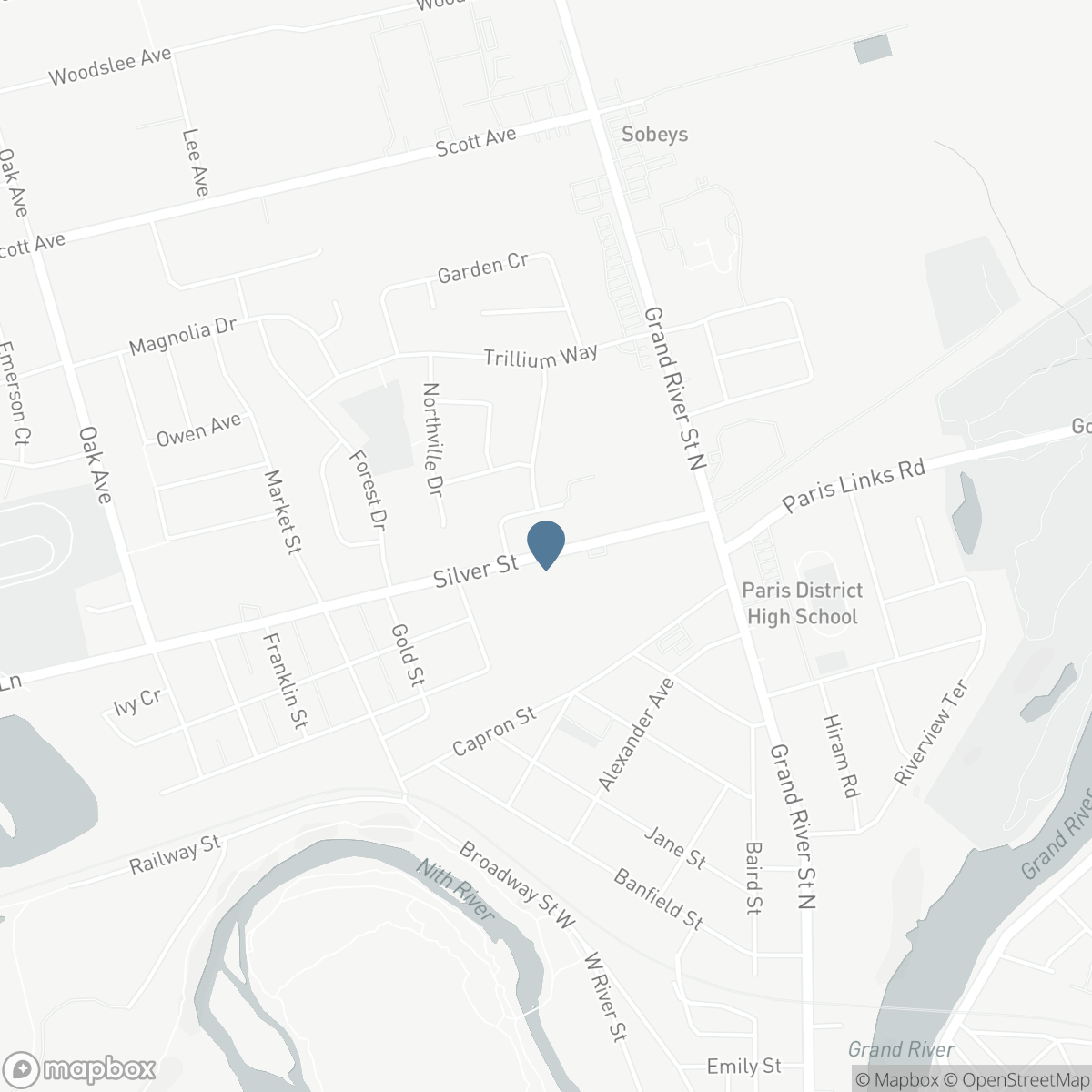 51 SILVER Street, Paris, Ontario N3L 1T7